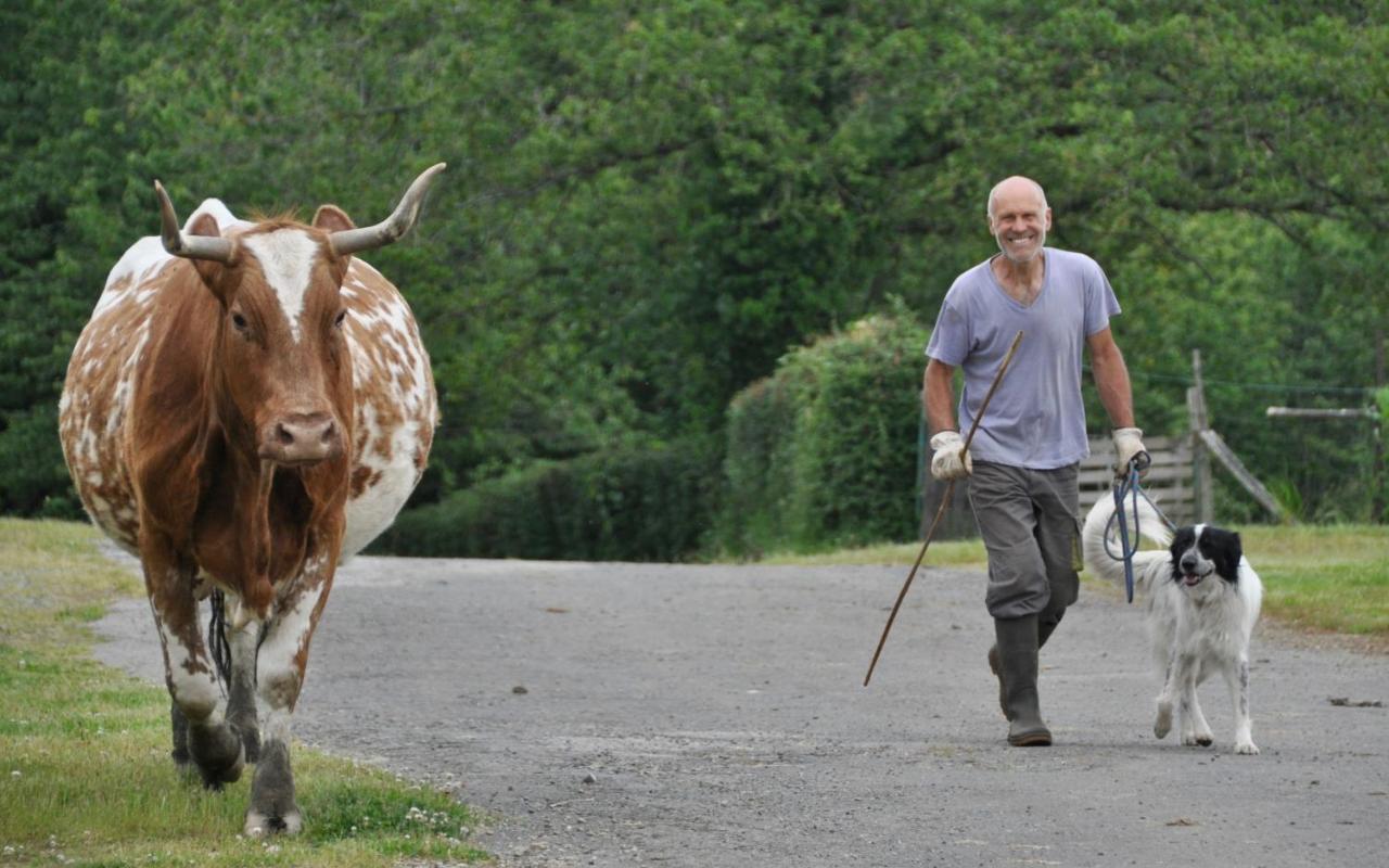 Вилла La Ferme Aux Cinq Sens Bussiere-Boffy Экстерьер фото